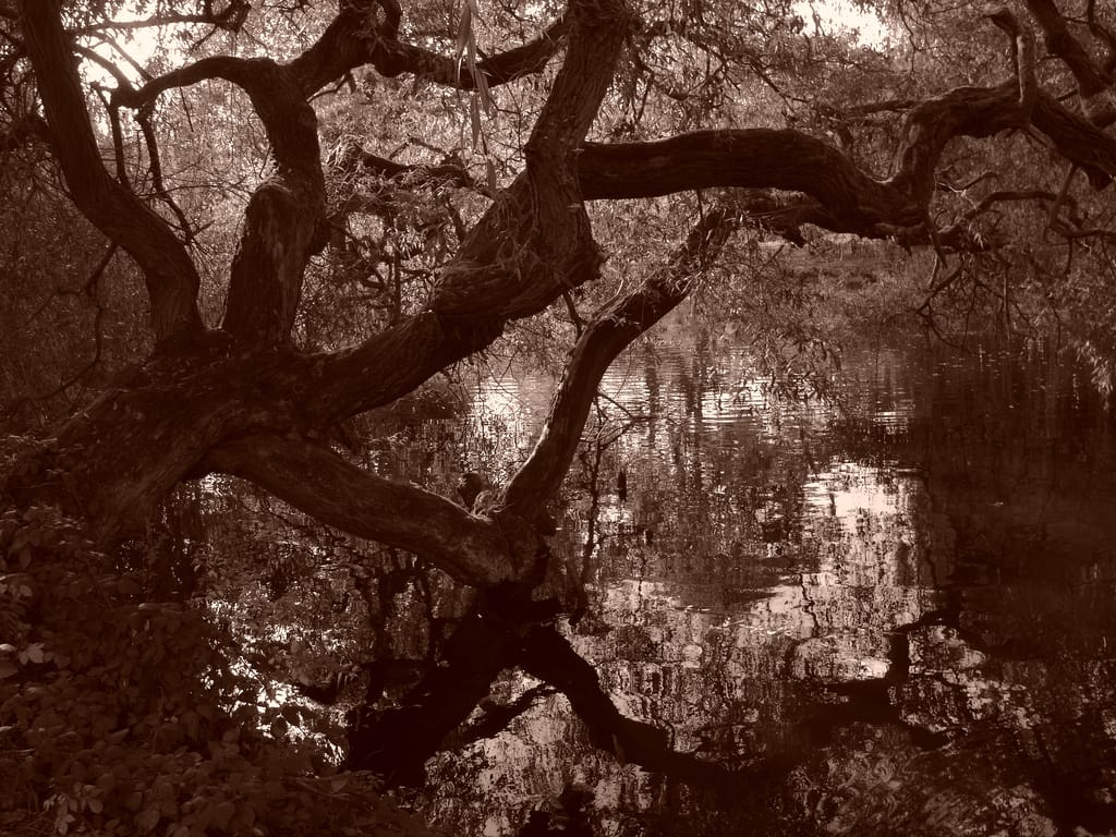 Hampstead Heath - London
