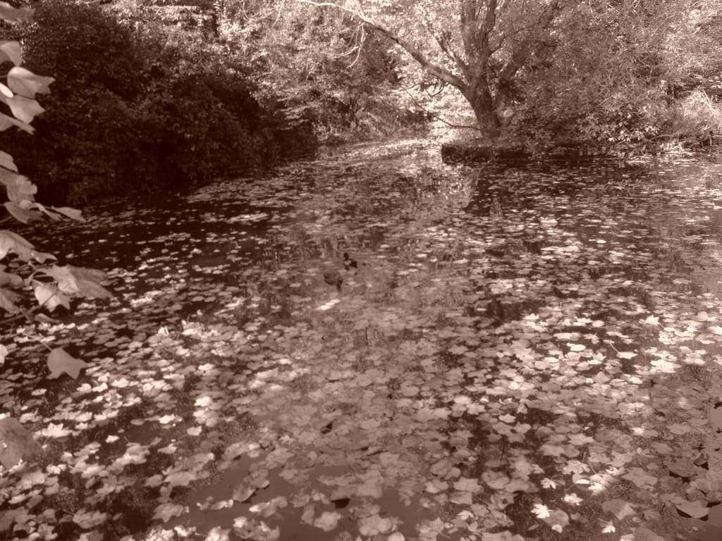 Hampstead Heath - London