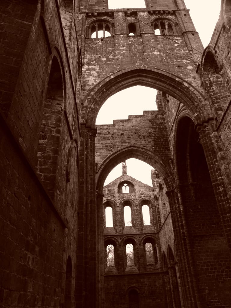 Sepia 2011