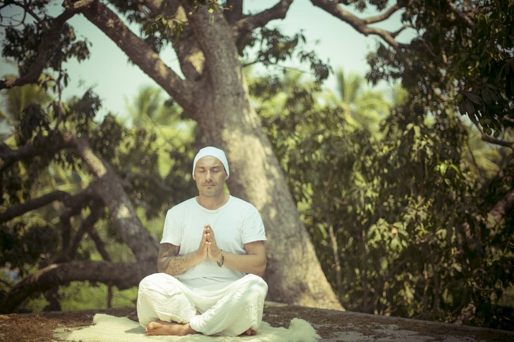 Максим Васильев - Субагх Крийя